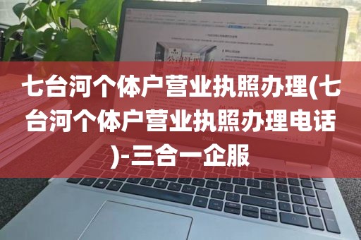 米乐m6：代办营业执照_代办工商营业执照注册__个体工商户-三合一企服(图8)